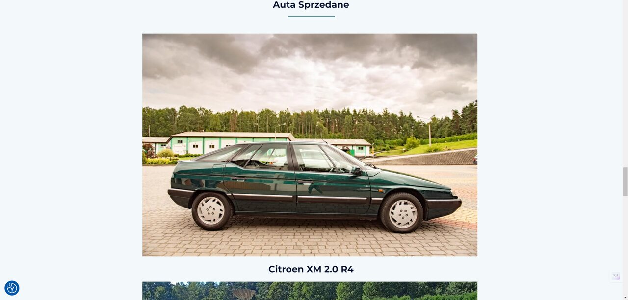 Strona dla klienta - Popiepszone Auta