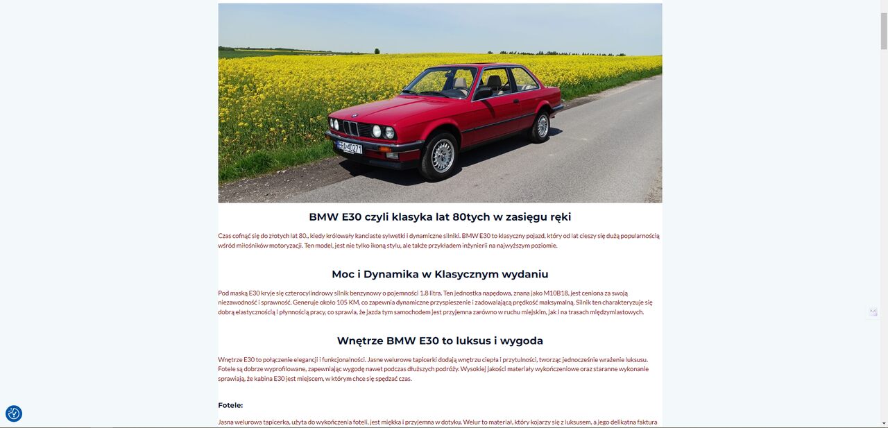 Strona dla klienta - Popiepszone Auta