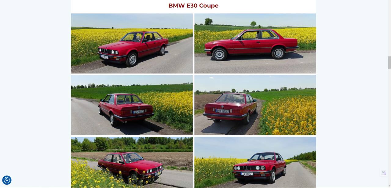 Strona dla klienta - Popiepszone Auta