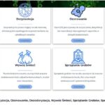 Strona dla klientki - Amethyst