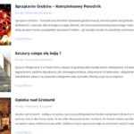 Strona dla klientki - Amethyst