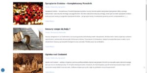 Strona dla klientki - Amethyst